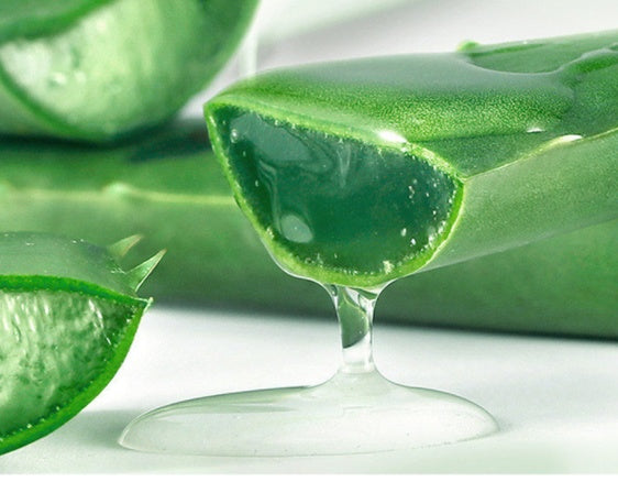Aloe Gel All Day Refreshing skin